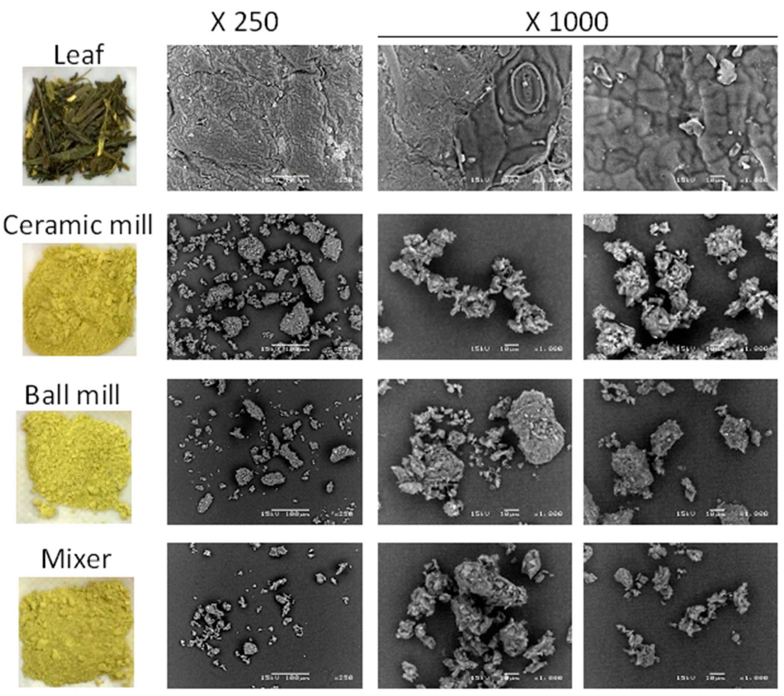 Illustrative comparison panel labeled Leaf, Ceramic mill, Ball mill and Mixer with magnification labels